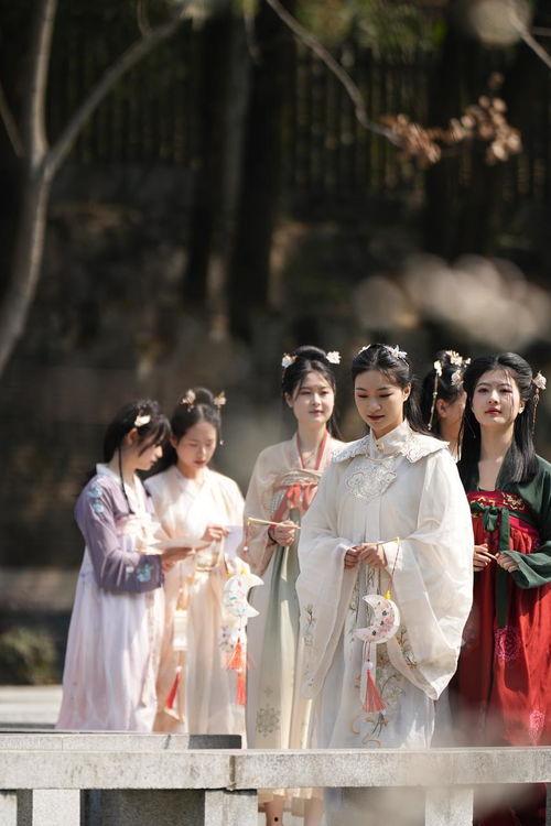 望月樱花作品在线观看,浪漫樱花树下，探寻东方诗意之美