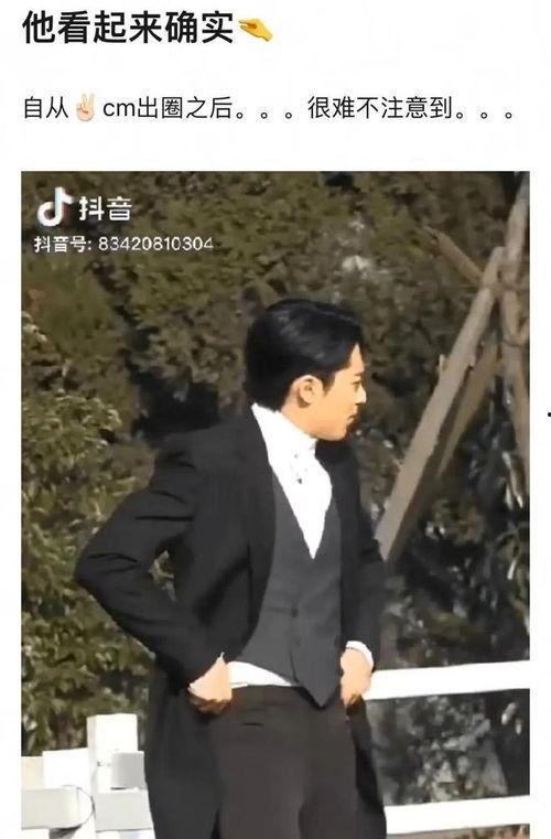 王鹤棣圈内爆料,一场关于友情与竞争的深度对话