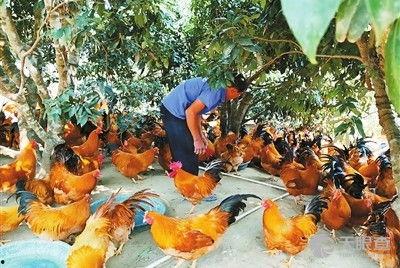 高州电视台新闻爆料,揭秘当地热点事件背后真相