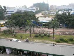 龙华汽车站最新爆料,揭秘未来出行新趋势