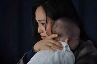 第八日的蝉在线观看,在线观看，揭秘神秘生物的奇异世界