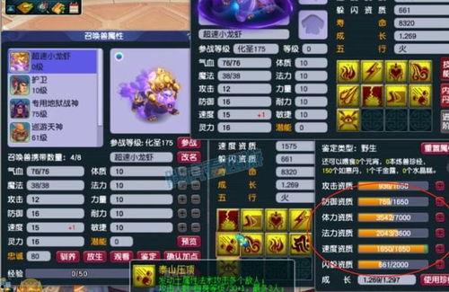 梦幻西游二狗爆料最新版,揭秘游戏全新版本神秘内容