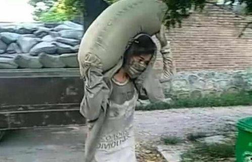 猪刚鬣大姐爆料视频在线观看,揭秘娱乐圈不为人知的秘密