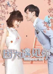 因为遇见你在线观看免费,浪漫邂逅，心动瞬间！