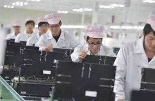 合肥创业爆料事件最新,揭秘背后真相，企业困境与维权之路