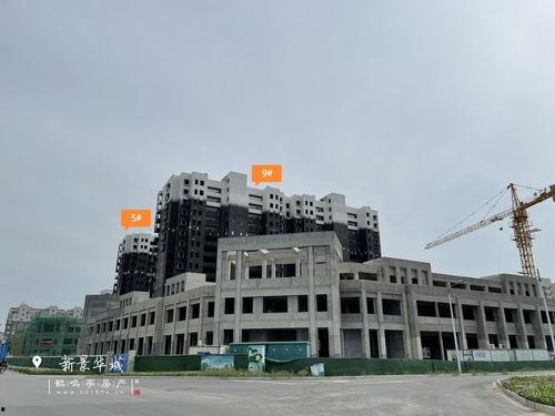 5周年最新爆料视频下载,最新爆料视频深度解析