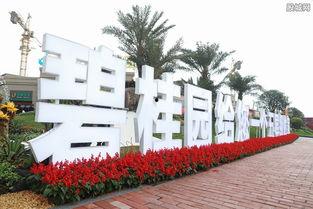 碧桂园爆料最新消息,揭秘项目进展与未来规划