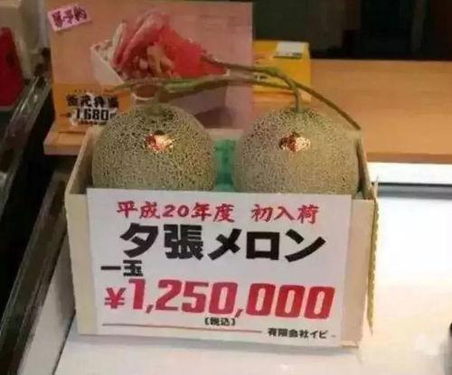 娱乐吃瓜项目有哪些,盘点热门吃瓜项目,带你领略幕后风云