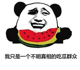 吃瓜群众网络新词,网络新词背后的社会现象解析