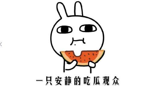 吃瓜在线什么意思,网络热词背后的文化现象