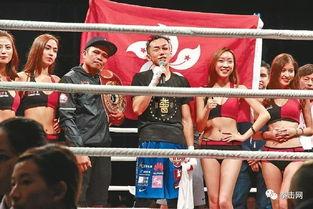 吃瓜娱乐拳击比赛直播视频,直播盛宴,精彩瞬间回顾